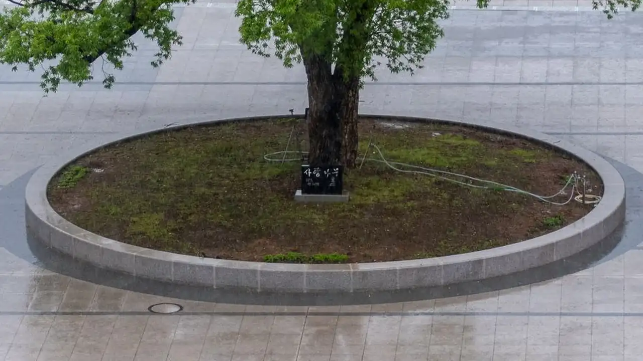 日日影视适合哪些观看需求以及使用时需要注意什么