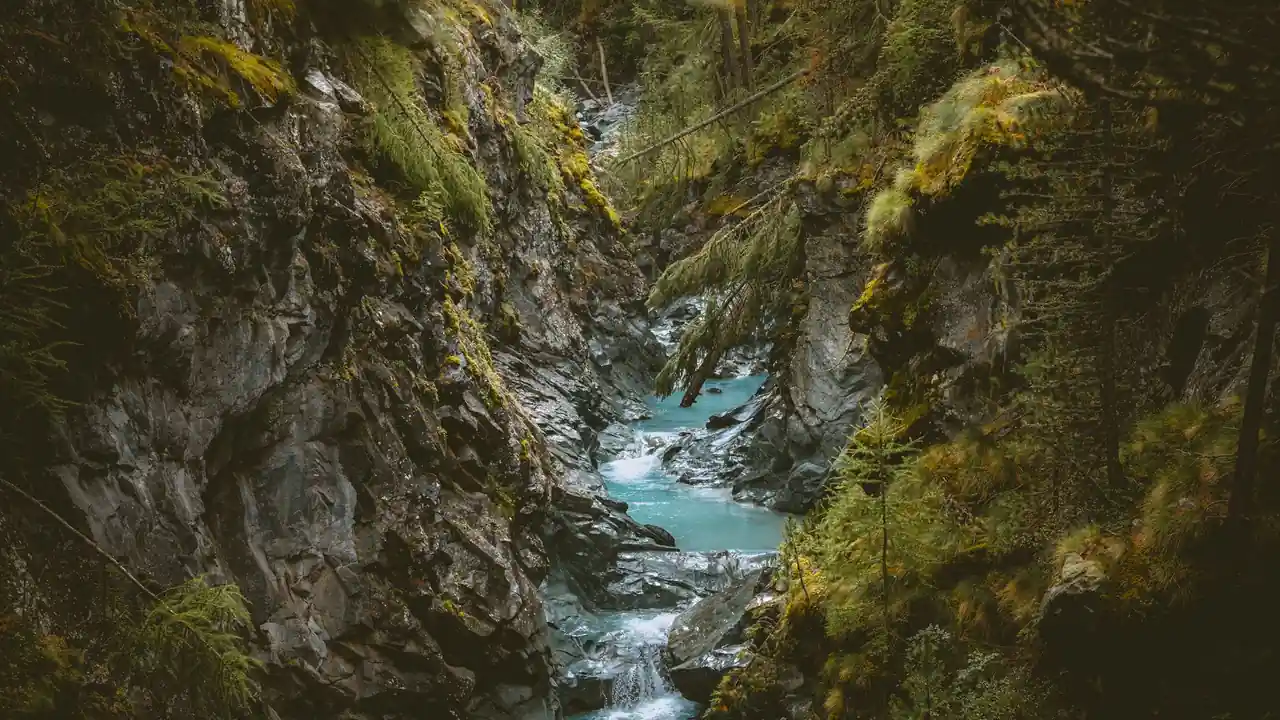 媚色快怎么用实际场景、常见问题与容易忽略的细节