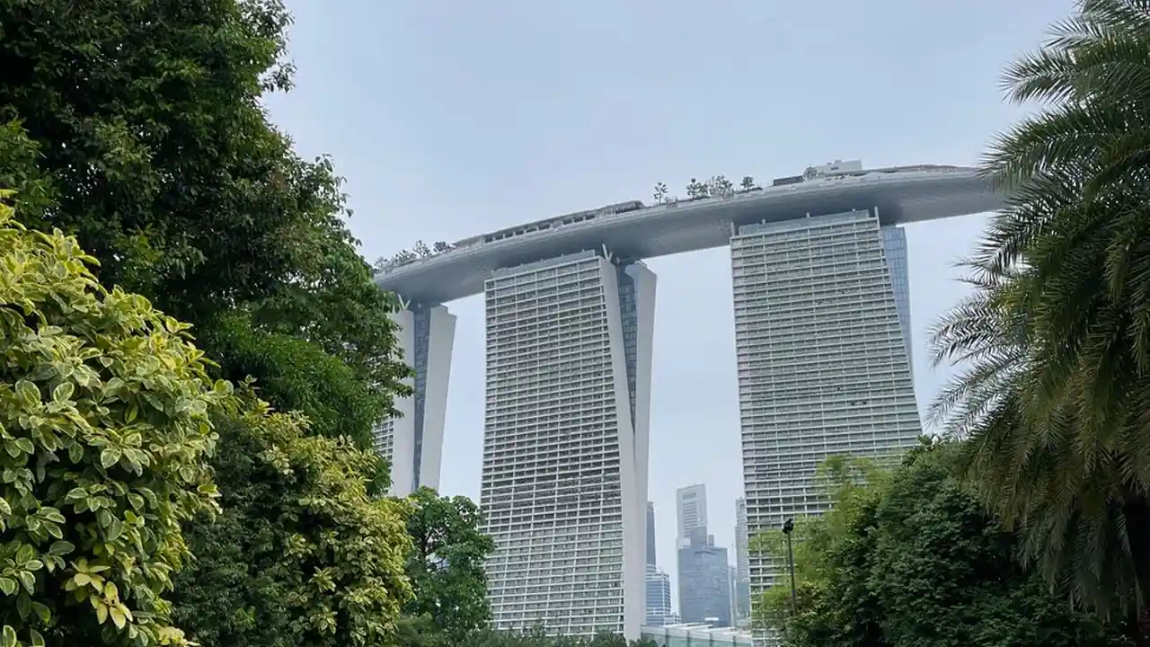 访问外国成人网址的常见问题与功能特点说明