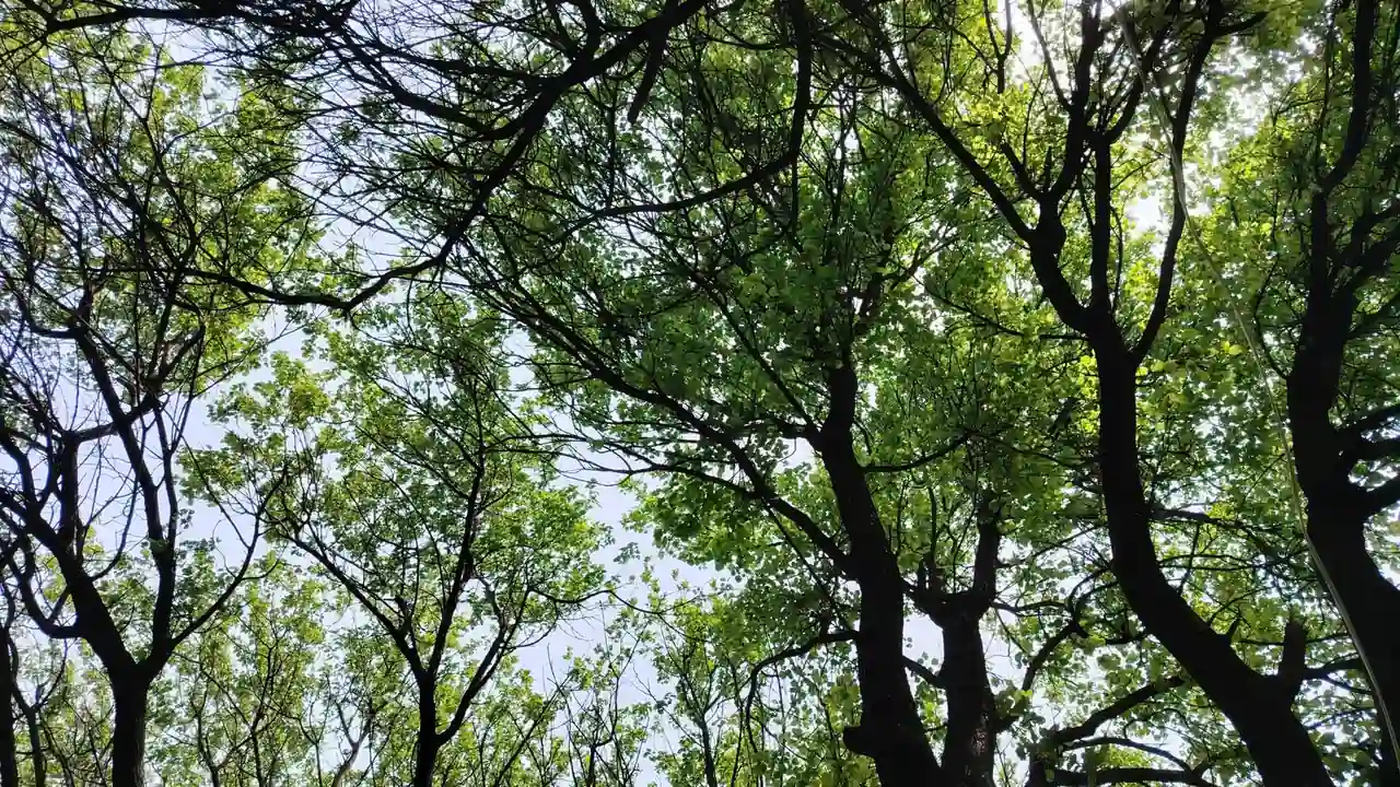 两男添一女60分钟视频资源查找与播放注意事项
